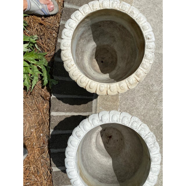 Vintage Greek Style Neoclassical Cast Stone Urns - Set of 2 For Sale - Image 4 of 12