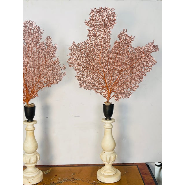 Stone Organic Modern Pair of Sea Whip Branches on Alabaster Bases For Sale - Image 7 of 9