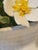 Ceramic Fine Bone China Hand Modelled Hand Painted Aynsley England Radnor Staffordshire Bouquets For Sale - Image 7 of 12