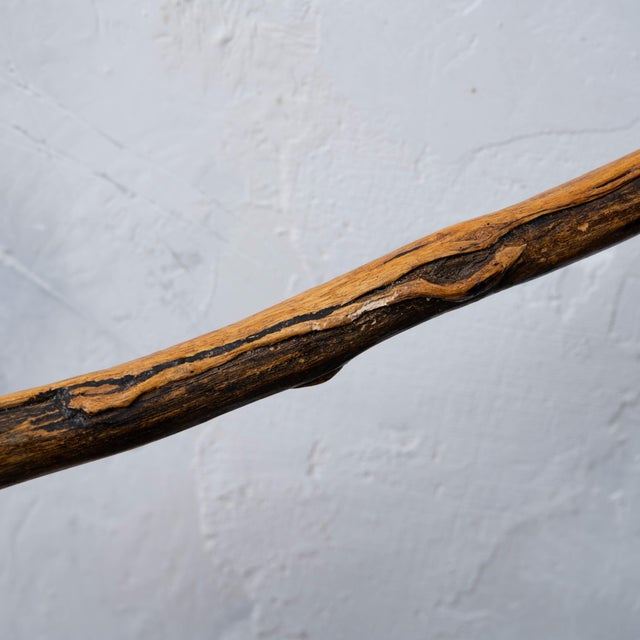 Vernon Edwards Walking Stick, 1980s For Sale - Image 10 of 18