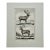 Elk & Reindeer Original Engraving by Buffon, Circa 1774 For Sale