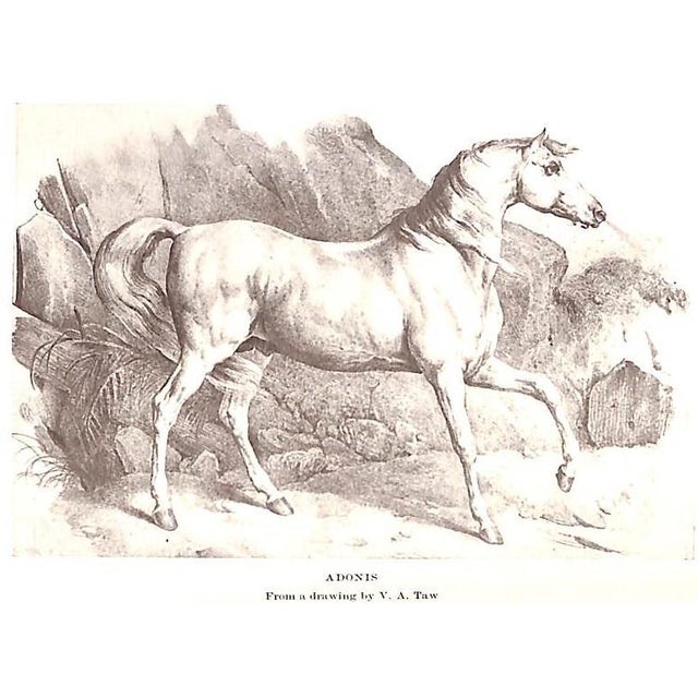 Saddle and Song: A Collection of Verses Made at Warrenton, Va, During the Winter of 1904-1905 For Sale In New York - Image 6 of 11