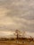 19th Century English Oil on Canvas Fox Hounds For Sale In Nashville - Image 6 of 9