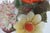 Royal Adderley Ceramic Bone China Flower Basket Figurine Made in England 5157b For Sale In Miami - Image 6 of 16