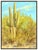 Message us to inquire about custom framing options! (Included for free with every purchase) The artwork here, "Saguaros in...