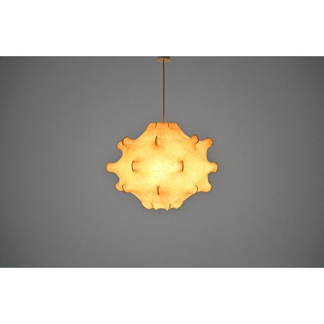 Flos Taraxacum Hanging Lamp by Achille & Pier Giacomo Castiglioni for Flos, 1960s For Sale - Image 4 of 11