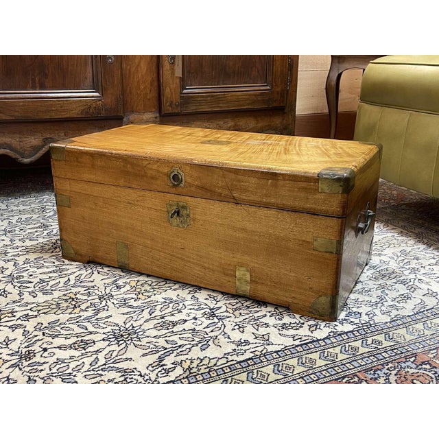 Early 20th Century Camphor Wood Chest For Sale - Image 14 of 14