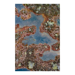 "The_Bog_002" Contemporary Limited Edition Fine Art Photograph Print by Bernhard Lang For Sale