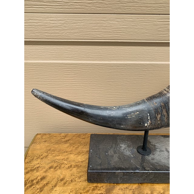 Late 20th Century Pair of Vintage Faux Ram Horn Sculptures on Black Marble Bases For Sale - Image 5 of 16