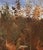 Early 21st Century Platte River, Denver in December by Timothy J. Standring | Oil on canvas Landscape with river and trees For Sale - Image 5 of 5