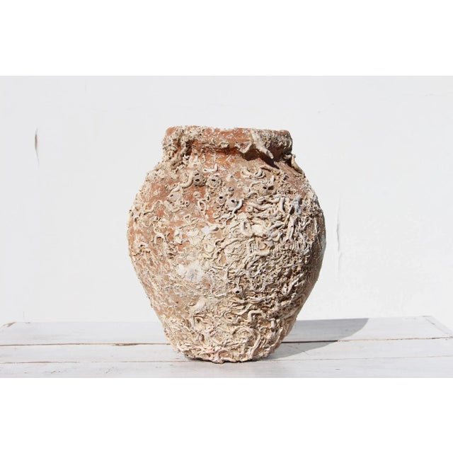 19th Century Antique Terracotta Octopus Trap Undersea Pot For Sale - Image 13 of 13