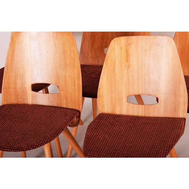Wood Mid-Century Beech Dining Chairs attributed to František Jirák for Tatra Nabykov, Slovakia, 1950s, Set of 5 For Sale - Image 7 of 9