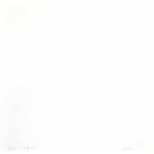 Green Cosmos - Dark Violet is a lithograph realized by Eleni Zerva in 1971. Hand-signed and numbered on the back. Edition...