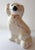 Staffordshire Style Spaniels - Vintage White Glazed Ceramic With Gold Accents - A Pair For Sale In Providence - Image 6 of 7