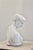 Stone Grand Tour Italian Carved Marble Psyche of Capua Torso Sculpture, 1800s For Sale - Image 7 of 12