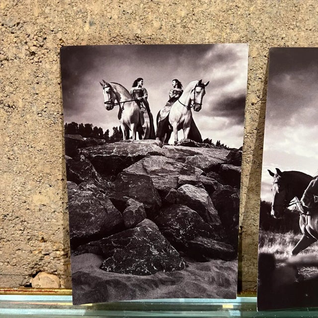 Late 20th Century Vintage Cavalia Set of Five Post Card Prints Black and White Canada For Sale - Image 5 of 8