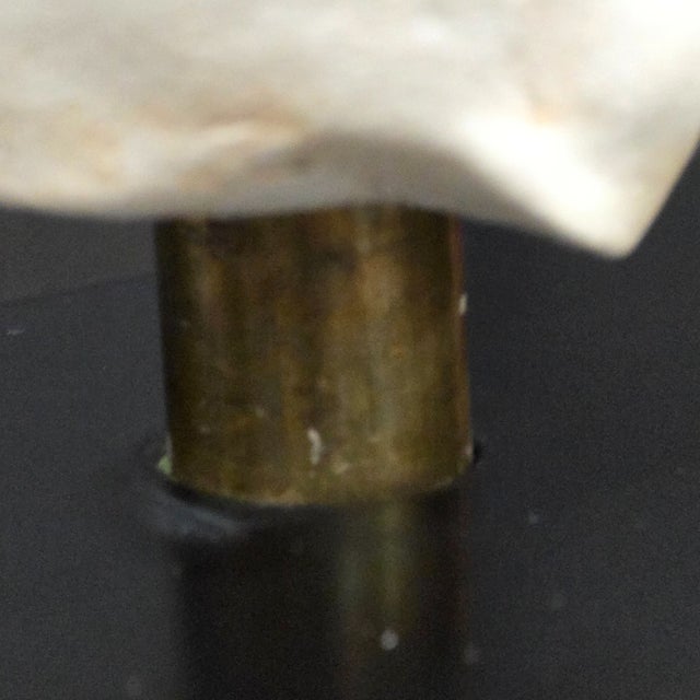 Metropolitan Museum of Art Classical Torso Sculpture, 1982 For Sale - Image 9 of 10