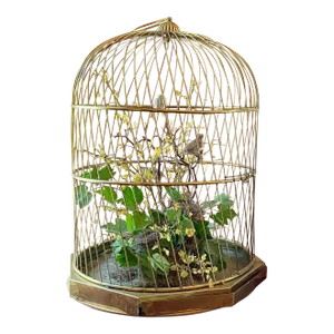 Late 19th Century Antique British Victorian Brass Bird Cage With Pullout Tray