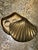 1960s Vintage Solid Brass Coastal Clamshell Trinket Box For Sale - Image 5 of 8