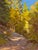 West Fall by Judd Mercer | Gouache Landscape of a wooded path with autumn colors For Sale
