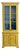 English 19th Century Tall Painted Bookcase For Sale