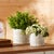 2020s Porcelain Floral Patterned Planter (Set of 2) For Sale - Image 5 of 6