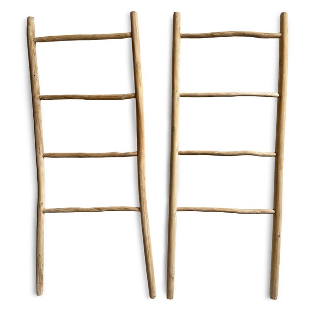 Contemporary Organic Modern Teak Raw Wood Display Ladder For Sale - Image 3 of 5