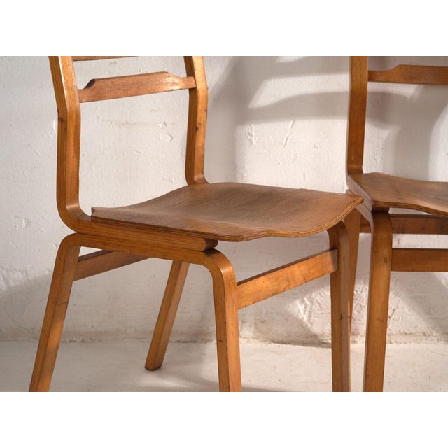 Brown Chairs in Beech and Moulded Plywood, Central Europe, 1960, Set of 3 For Sale - Image 8 of 12