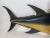 Carved Tuna Fish with Painted Finish For Sale - Image 11 of 12