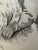 Illustration 1940s Original Signed Graphite Illustration of Child Embracing Terrier Dog, 10.5 × 8.5 In. For Sale - Image 3 of 6