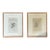 Pair of Framed Pen and Ink Drawing For Sale