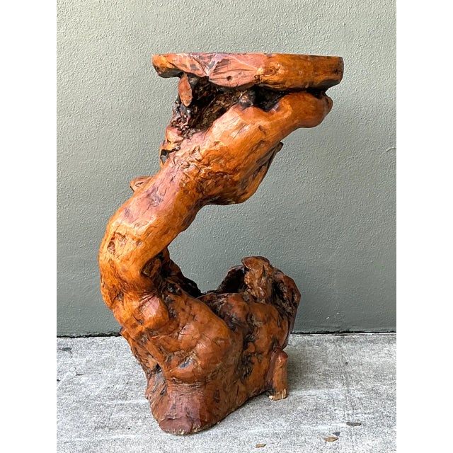 Contemporary Vintage Japanese Twisted Root Pedestal For Sale - Image 3 of 12