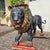 Large Bronze Sculptures of Lions, 1870, Set of 2 For Sale - Image 4 of 18