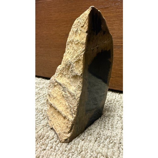 15th Century & Earlier Fossilized Wood Decorative Piece, Lovely Figures and Colors For Sale - Image 5 of 6