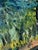 Early 21st Century Barbara Schauß, Landscape Near Bardolino, Oil on Canvas For Sale - Image 5 of 5