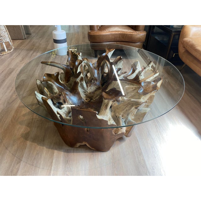 Teak Root Ball Base Glass Top Coffee Table Lg For Sale - Image 4 of 10