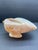 Rustic Circa 1920s Noble Volute Seashell Pedestal Bowl – Vintage Natural Conch Shell Catchall For Sale - Image 3 of 12