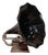 20th Century Horn Gramophone For Sale