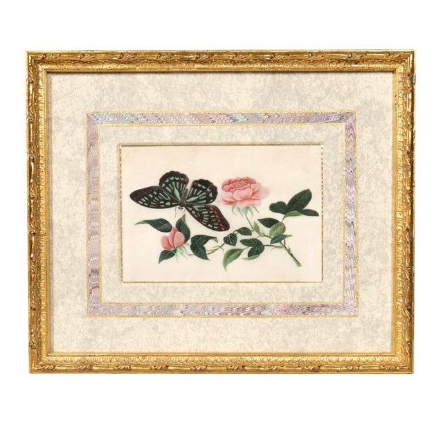 Set of Four Chinese Export Framed Pith Paper Watercolors of Plants and Insects For Sale - Image 9 of 10