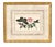Set of Four Chinese Export Framed Pith Paper Watercolors of Plants and Insects For Sale - Image 9 of 10