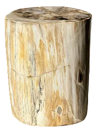 Side Table in Multicolored Petrified Wood