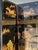 Vintage Asian 8 Panel Coromandel Screen For Sale In West Palm - Image 6 of 12
