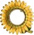 Pop Art 1970s Sunflower Framed Wall Mirror For Sale - Image 3 of 7