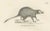 C.C. G. Zool., The Cape Meerkat and Lalandes Civet Hyena, 1836, Lithograph For Sale - Image 7 of 12