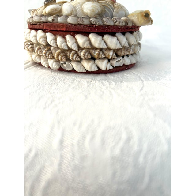 1950s Mid-Century Turtle Seashell Lidded Keepsake Box For Sale - Image 5 of 5