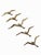 Modernist Brass Wall Seagulls, 1960s, Set of 5 For Sale - Image 10 of 10