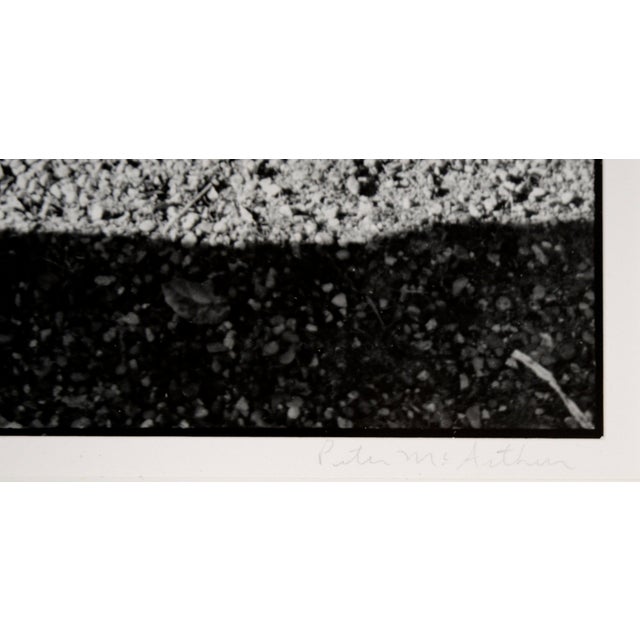 1970s Cat in the Shadows - Black and White Photo by Carmel Artist Peter McArthur For Sale - Image 5 of 7