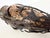 Copper Vase with Wrought Iron Snake and Leaves attributed to Alessandro Mazzucotelli, 1890s For Sale - Image 9 of 15