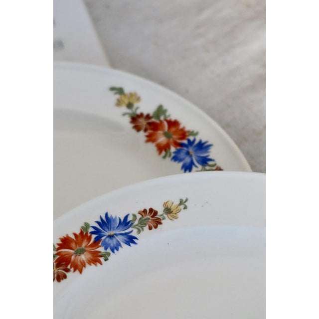 Earthenware Dessert Plates with Polychrome Floral Patterns from Royal Sphinx, Maastricht, Belgium, Set of 6 For Sale - Image 10 of 12