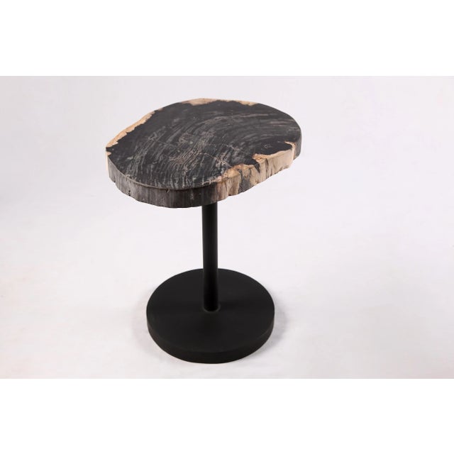 Living Edge Petrified Wood Top W Black Metal Stand Accent Table or Side Table 53 For Sale - Image 4 of 5